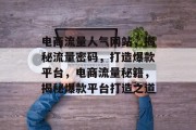 电商流量人气网站，揭秘流量密码，打造爆款平台，电商流量秘籍，揭秘爆款平台打造之道