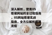 深入解析，使用IIS搭建网站的全过程指南，IIS网站搭建实战指南，全方位解析搭建流程