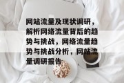 网站流量及现状调研，解析网络流量背后的趋势与挑战，网络流量趋势与挑战分析，网站流量调研报告