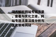 深入解析网站专题流量，查看与优化之道，网站专题流量深度分析与优化策略揭秘