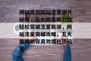 揭秘高效网站流量提升秘籍，五大网站助力你轻松突破流量瓶颈，网站流量突破攻略，五大策略助你高效提升访问量