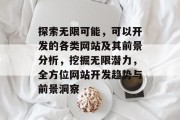 探索无限可能，可以开发的各类网站及其前景分析，挖掘无限潜力，全方位网站开发趋势与前景洞察