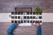 屏南商机,探索最佳盈利项目,屏南商机,探索最佳盈利项目的秘诀 屏南商机,探索最佳盈利项目,屏南商机,探索最佳盈利项目的秘诀