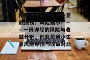 揭秘创业做什么小生意最赚钱、风险最小?——一份详尽的风险与收益分析,创业盈利小生意风险评估与收益对比