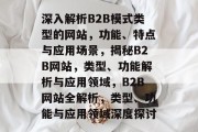 深入解析B2B模式类型的网站，功能、特点与应用场景，揭秘B2B网站，类型、功能解析与应用领域，B2B网站全解析，类型、功能与应用领域深度探讨