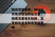 网络营销策略，揭秘如何有效增加网站流量，网络流量增长秘籍，深度解析高效网络营销策略