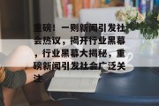重磅！一则新闻引发社会热议，揭开行业黑幕，行业黑幕大揭秘，重磅新闻引发社会广泛关注