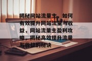揭秘网站流量主，如何有效提升网站流量与收益，网站流量主盈利攻略，揭秘高效提升流量与收益的秘诀