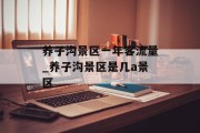 养子沟景区一年客流量_养子沟景区是几a景区