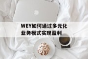 WEY如何通过多元化业务模式实现盈利