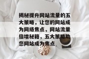 揭秘提升网站流量的五大策略，让您的网站成为网络焦点，网站流量倍增秘籍，五大策略助您网站成为焦点