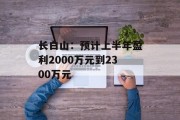 长白山：预计上半年盈利2000万元到2300万元