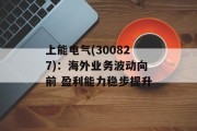 上能电气(300827)：海外业务波动向前 盈利能力稳步提升