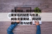 流量网站，揭秘网络流量背后的秘密与机遇，网络流量奥秘，揭秘隐藏的机遇与秘密