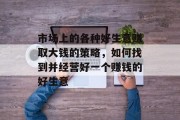 市场上的各种好生意赚取大钱的策略,如何找到并经营好一个赚钱的好生意