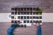 揭秘流量宝类似网站，探索高效网络营销新选择，流量宝类似网站深度解析，解锁高效网络营销新路径