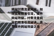 揭秘付费流量网站，如何实现精准引流，提升网站效益，付费流量网站的精准引流秘诀，高效提升网站效益之道