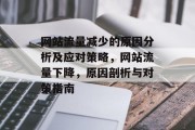 网站流量减少的原因分析及应对策略，网站流量下降，原因剖析与对策指南