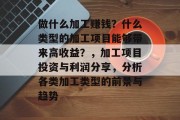 做什么加工赚钱?什么类型的加工项目能够带来高收益?,加工项目投资与利润分享,分析各类加工类型的前景与趋势