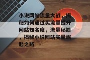 小说网站流量大战，揭秘如何通过买流量提升网站知名度，流量秘籍，揭秘小说网站买量崛起之路