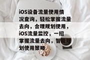 iOS设备流量使用情况查询，轻松掌握流量去向，合理规划使用，iOS流量监控，一招掌握流量去向，智能规划使用策略