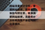 网站流量统计分析，掌握网站脉搏，提升用户体验与转化率，精准洞察网站脉搏，流量统计分析助力用户体验与转化率提升
