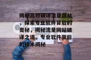 揭秘高效破译流量网站，探索专业软件背后的奥秘，揭秘流量网站破译之道，专业软件背后的技术揭秘