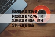 揭秘网站真实流量，如何准确查看与分析，网站流量真相揭秘，精准分析与查看指南