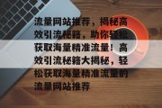 流量网站推荐，揭秘高效引流秘籍，助你轻松获取海量精准流量！高效引流秘籍大揭秘，轻松获取海量精准流量的流量网站推荐