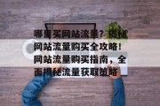 哪里买网站流量？揭秘网站流量购买全攻略！网站流量购买指南，全面揭秘流量获取策略