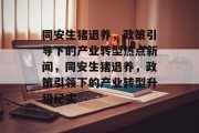 同安生猪退养，政策引导下的产业转型热点新闻，同安生猪退养，政策引领下的产业转型升级纪实