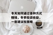 冬天如何通过各种方式赚钱，冬季投资收益，一些建议和策略
