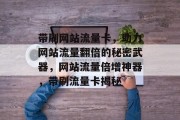 带刷网站流量卡，助力网站流量翻倍的秘密武器，网站流量倍增神器，带刷流量卡揭秘