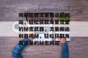 揭秘能做流量搬运的网站，轻松获取海量流量的秘密武器，流量搬运利器揭秘，轻松获取海量流量的秘密网站