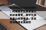 企业网站常见服务解析，构建数字化商业窗口的必备要素，数字化商业窗口关键要素，企业网站服务全面解析