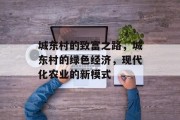 城东村的致富之路，城东村的绿色经济，现代化农业的新模式