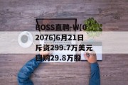 BOSS直聘-W(02076)6月21日斥资299.7万美元回购29.8万股