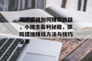 邵阳摆摊如何赚取收益，小摊主盈利秘籍，邵阳摆摊赚钱方法与技巧分享