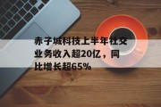 赤子城科技上半年社交业务收入超20亿，同比增长超65%