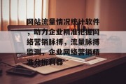 网站流量情况统计软件，助力企业精准把握网络营销脉搏，流量脉搏监测，企业网络营销精准分析利器