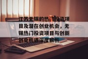 江苏无锡的热门投资项目及潜在创业机会，无锡热门投资项目与创新创业机遇深度解析