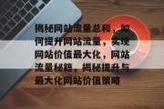 揭秘网站流量总和，如何提升网站流量，实现网站价值最大化，网站流量秘籍，揭秘提升与最大化网站价值策略