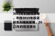 2023年投资前景，3019年的赚钱策略，寻找3019年投资前景与赚钱策略，2023年的投资提示