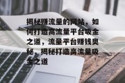 揭秘赚流量的网站，如何打造高流量平台吸金之道，流量平台赚钱奥秘，揭秘打造高流量吸金之道
