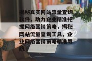 揭秘真实网站流量查询软件，助力企业精准把握网络营销策略，揭秘网站流量查询工具，企业网络营销策略精准导航
