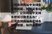 公司收到网站中文域名到期提醒，如何妥善应对？，公司网站中文域名即将过期怎么办？，公司收到网站中文域名到期提醒，如何妥善应对？