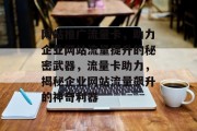 网站推广流量卡，助力企业网站流量提升的秘密武器，流量卡助力，揭秘企业网站流量飙升的神奇利器
