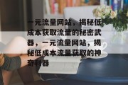 一元流量网站，揭秘低成本获取流量的秘密武器，一元流量网站，揭秘低成本流量获取的神奇利器