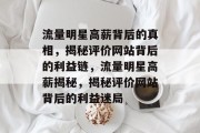 流量明星高薪背后的真相，揭秘评价网站背后的利益链，流量明星高薪揭秘，揭秘评价网站背后的利益迷局
