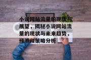 小说网站流量的现状与展望，揭秘小说网站流量的现状与未来趋势，预测和策略分析